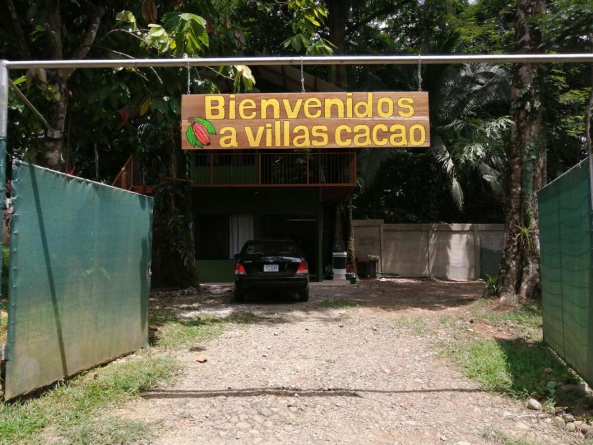 Cacao Cr *